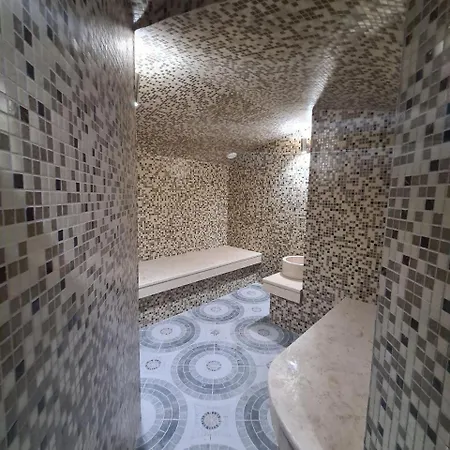 Hotel Kalyan & 3*